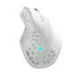 Solakaka E9 Vertical  Ergonomic MMO Gaming Wireless Mouse